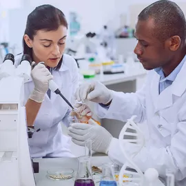 Two scientists in white lab coats work in a lab. One uses a pipette while the other assists with forceps.
