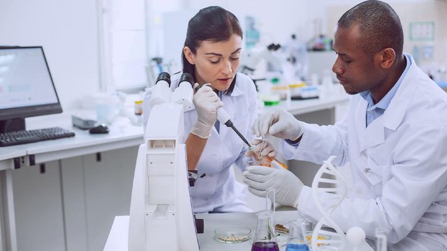 Two scientists in white lab coats work in a lab. One uses a pipette while the other assists with forceps. 