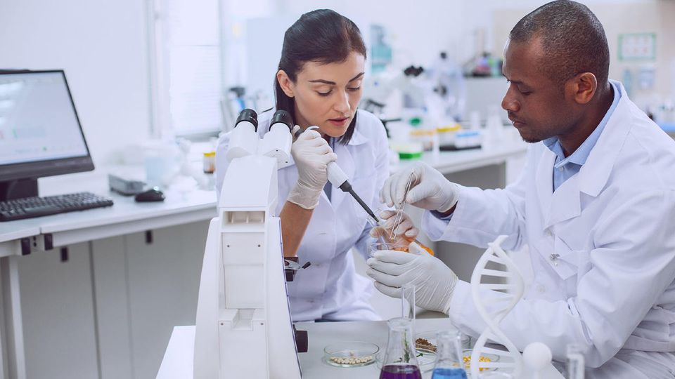 Two scientists in white lab coats work in a lab. One uses a pipette while the other assists with forceps.