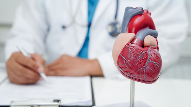 A model of a human heart sits in front of a doctor writing on a clipboard. 