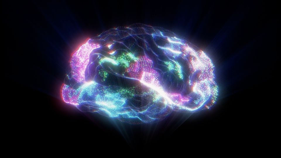 Glowing digital brain with colorful neural connections illustrating neuroscience.