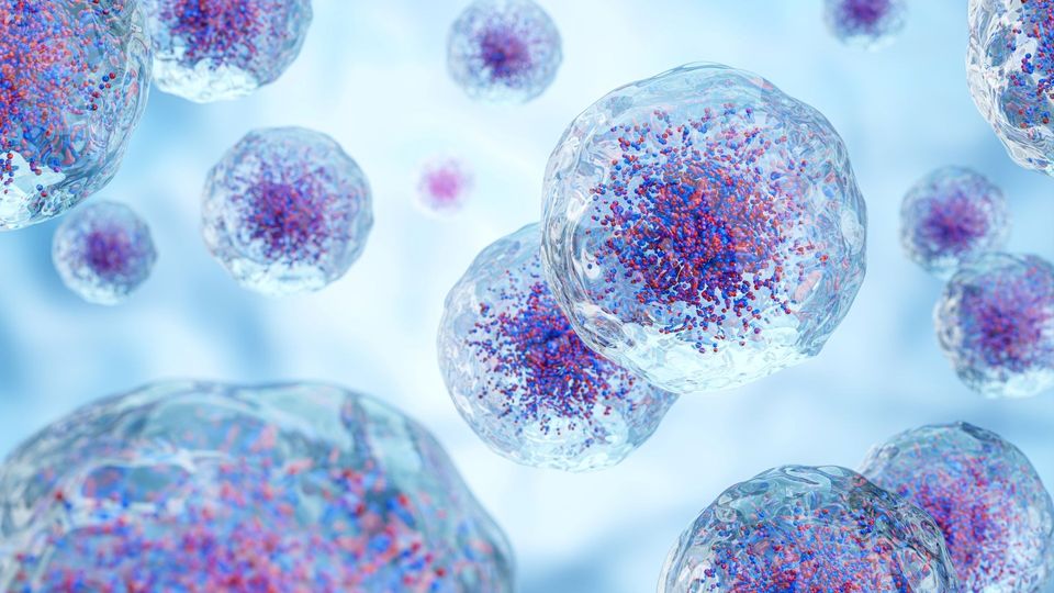 Illustration of human cells with visible nuclei and molecular particles in a microscopic view.
