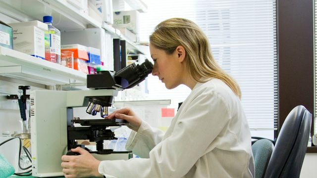 Researcher using a microscope in a laboratory to examine samples. 