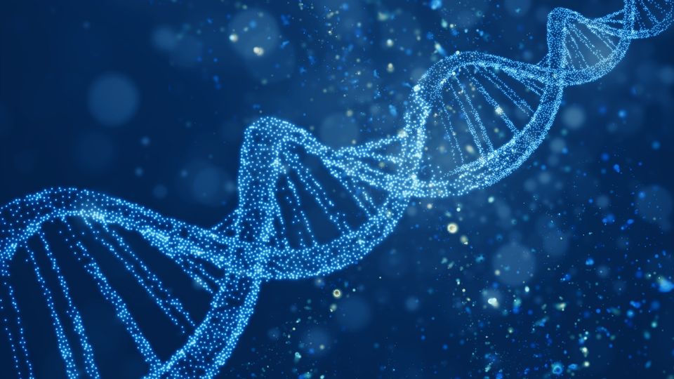A section of DNA illustrated in by lights reflecting data points.
