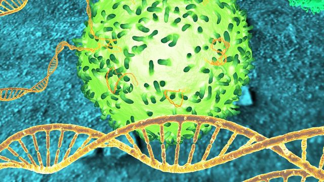 Scientific illustration of a bright green immune cell surrounded by orange DNA double helices on a blue background. 