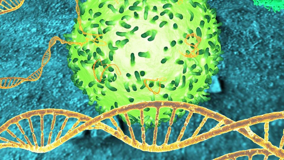 Scientific illustration of a bright green immune cell surrounded by orange DNA double helices on a blue background.