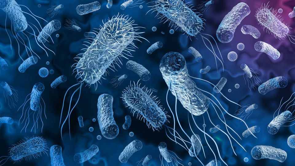 Illustration of different shaped bacteria, including coccus, bacillus, and spirilla. The bacteria are grey and are floating on a dark blue background.