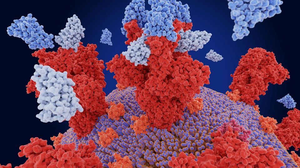 3D illustration of nanobodies in light blue colors binding to proteins, depicted in red, on a cell surface.