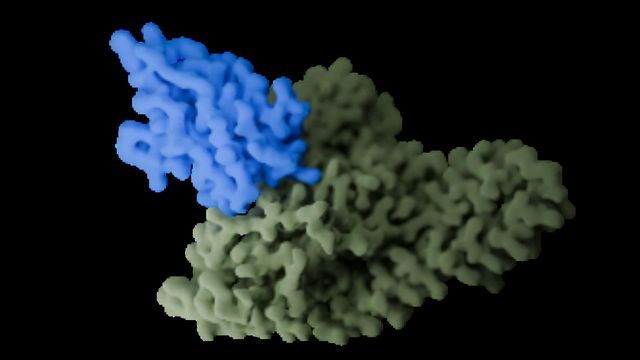 3D illustration of an antigen binding to an antibody. 