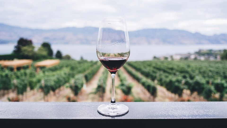 A glass of red wine on a short ledge. Beyond the ledge, a vineyard and a lake are visible.