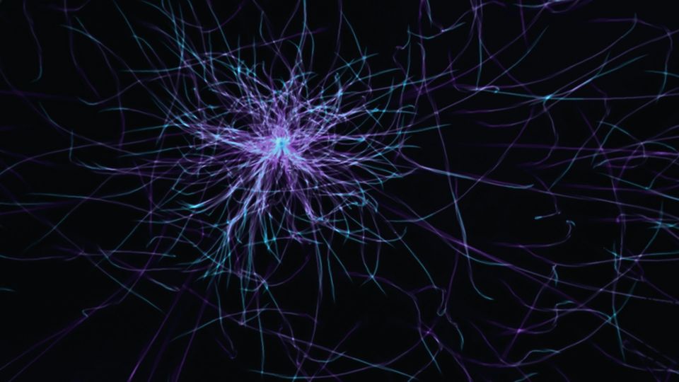 Abstract illustration of glowing neural network connections in purple and blue tones.