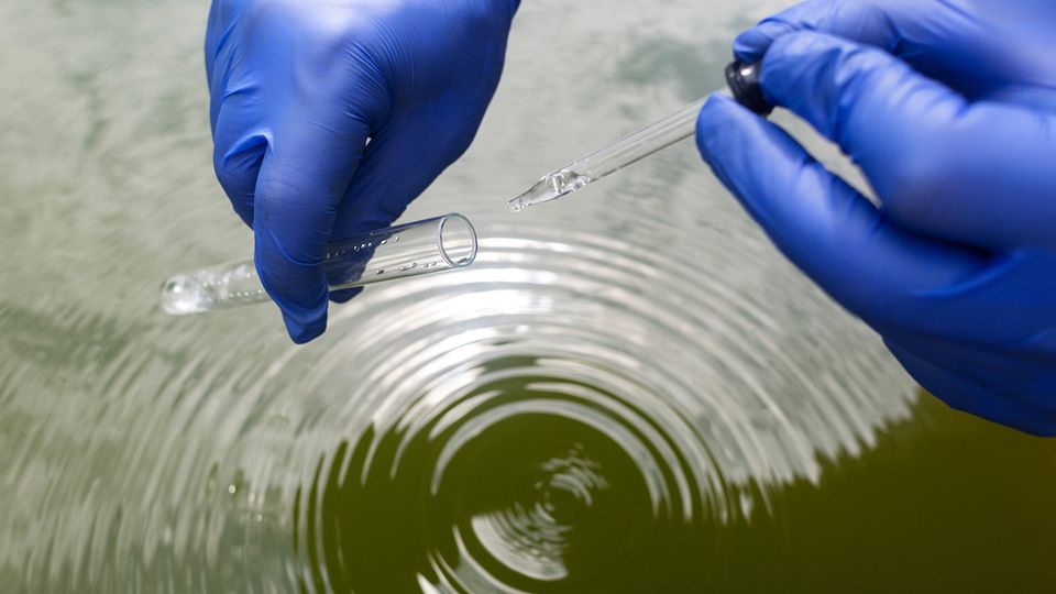 Gloved hands collecting a water sample with a test tube and pipette over rippling greenish water.