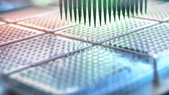 High-throughput screening automated liquid handler above rows of multi-well plates. 