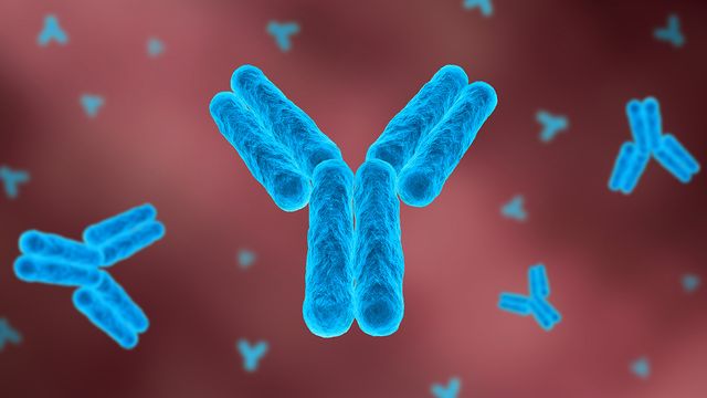 3D illustration of antibodies highlighting aggregation analysis in mass photometry vs SEC comparison. 