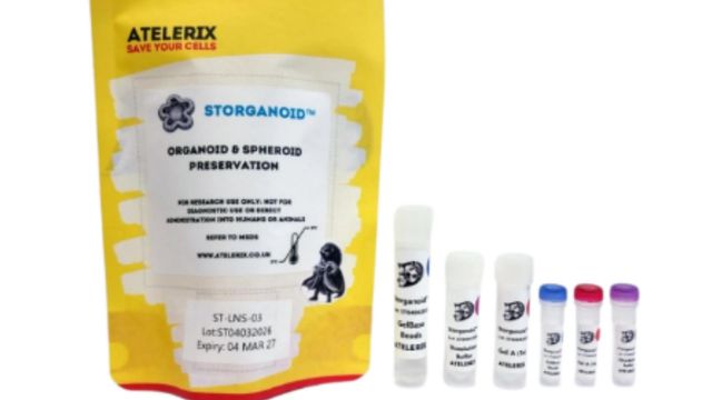 Atelerix Storganoid organoid and spheroid preservation kit with labeled sample vials. 
