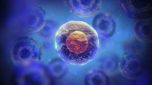 Illustration of human cells floating on a dark blue background. The central cell is illuminated from behind. 