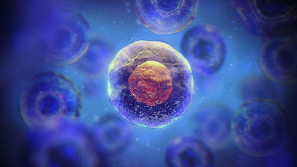 Illustration of human cells floating on a dark blue background. The central cell is illuminated from behind.