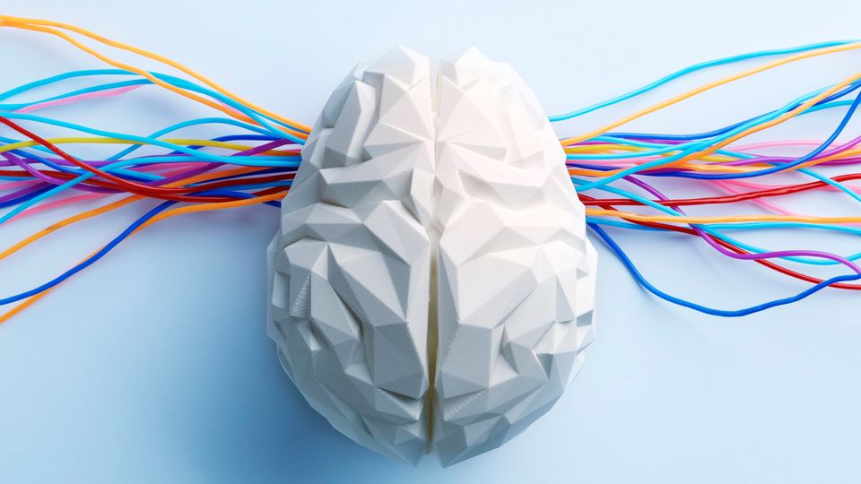 Model of the human brain with a range of brightly colored strings emerging from each side.