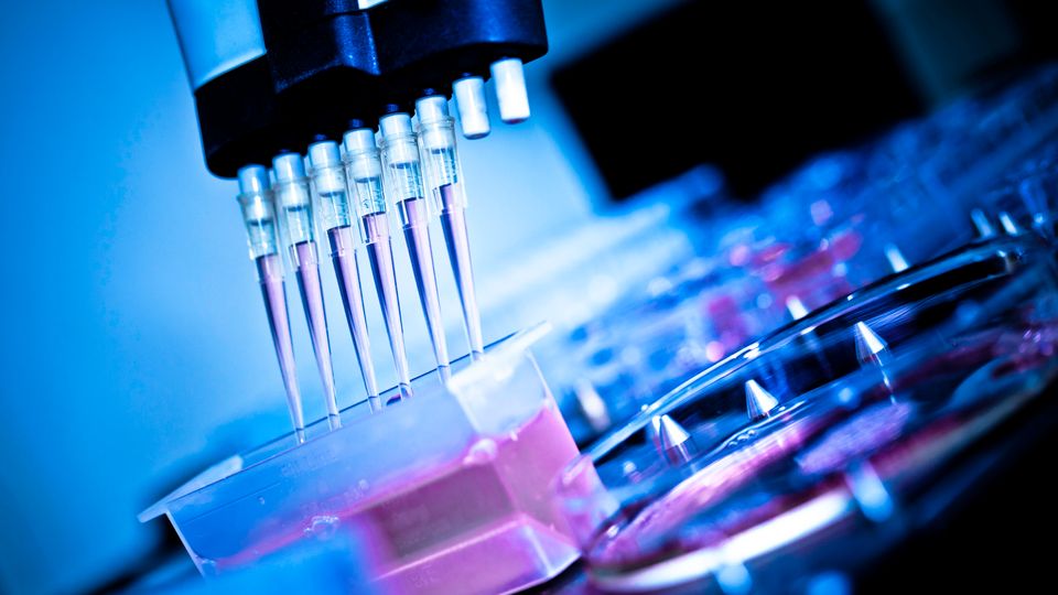 Automated pipetting system dispensing liquids into plates, illustrating HTS high-throughput screening.