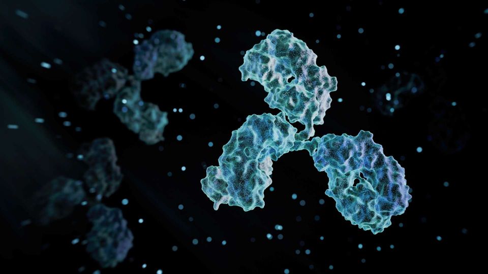 3D illustration of blue antibody molecules in suspension against a dark background.