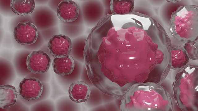 3D illustration of stem cells with translucent membranes and pink nuclei in a cellular environment. 