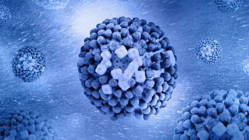 3D illustration of influenza virus particles originally derived from electron microscopy.