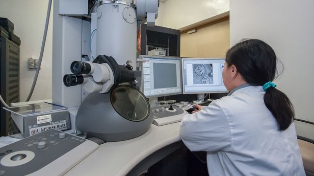 Researcher analyzing samples with electron microscope and computer screens in laboratory. 