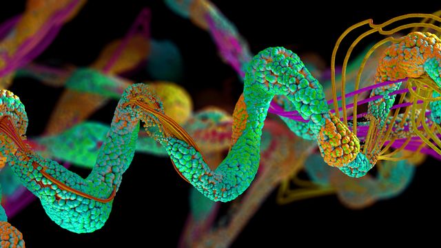 3D coiled structure of a protein in green, yellow, and purple. 