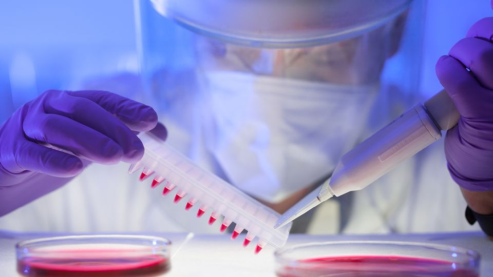 Scientist holding a pipette to transfer pink liquid into small test tubes, while wearing a visor and face mask.