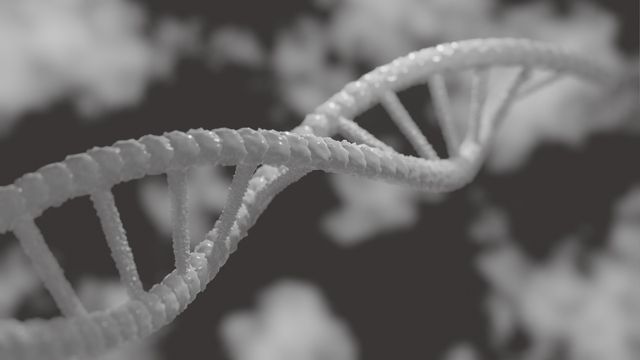 DNA double helix structure in grayscale. 