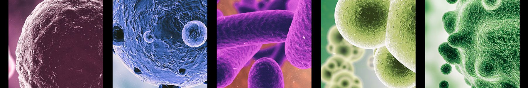 Microbial methylation concept with bacteria cells. 