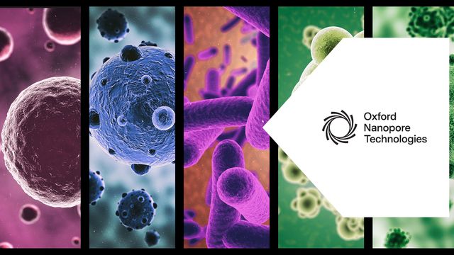 Microbial methylation concept with bacteria cells and Oxford Nanopore logo. 