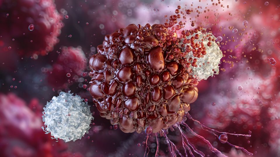 Visualization of two white blood cells targeting a red, asymmetrical tumor mass against a red background.