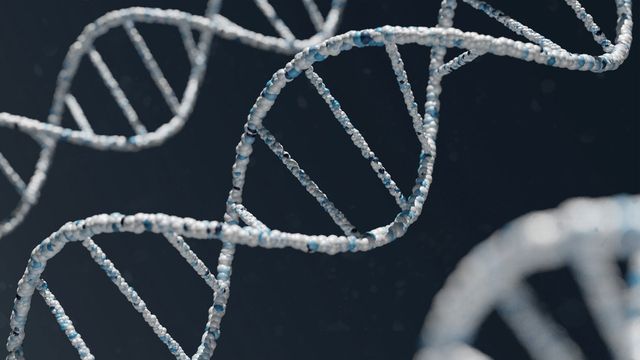 Genome Duplication Pathways Affect Cell Survival | Technology Networks