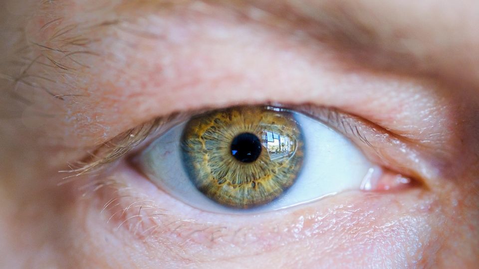 Close-up of a human eye with detailed iris texture and light reflection.