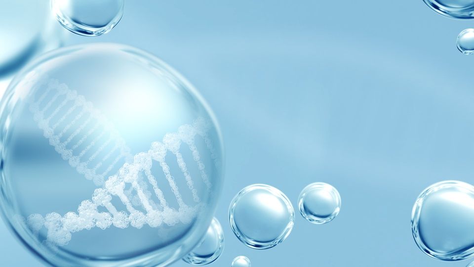 Illustration of clear bubbles on a light blue background. The largest bubble contains a white DNA double helix.