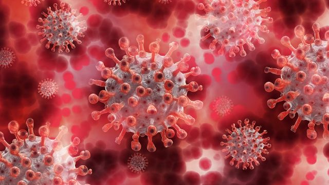 Embryonic Cells Are Susceptible to SARS-CoV-2 Infection | Technology ...