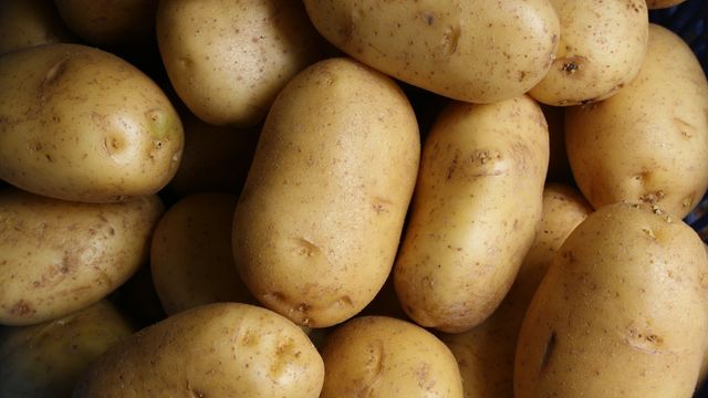 Potato Farming Linked to Human Gene Evolution | Technology Networks