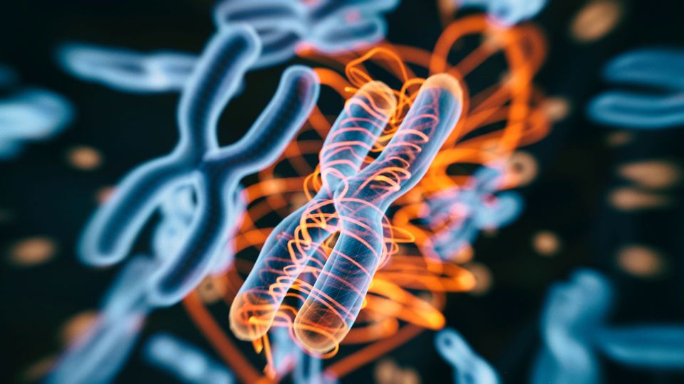 3D illustration of chromosomes and DNA strands.