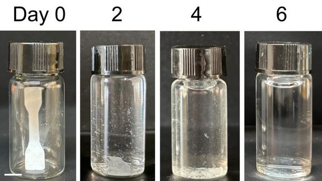Four sample vials, containing the plastic sample, at 0, 2, 4, and 6 days. As the length of time increases, less and less of the white plastic sample is visible as it has been broken down by bacteria. 