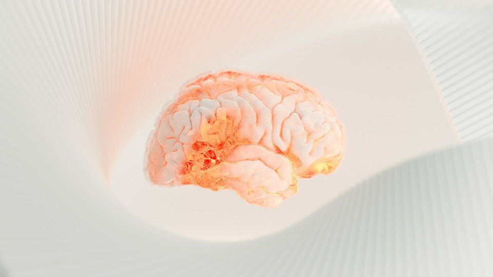 3D brain model with glowing neural connections in a futuristic neuroscience illustration.