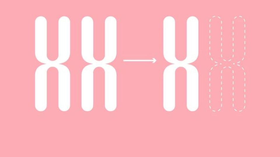 Illustration of chromosome loss on a pink scientific background.