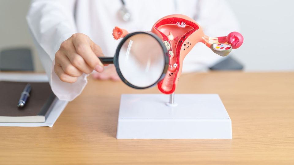 Doctor examining a model of the female reproductive system, including the uterus and ovaries, with a magnifying glass.