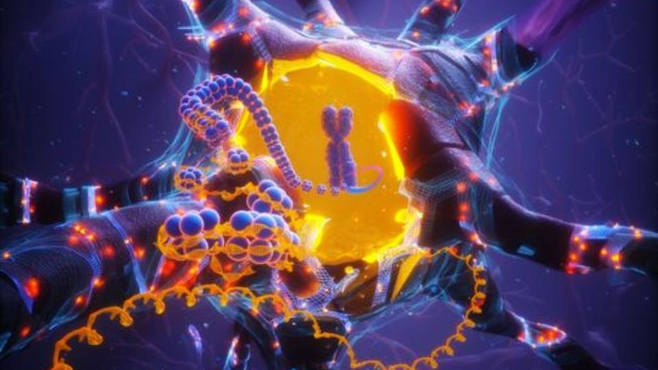 Illustration of brain cells with DNA strands and chromosomes in a glowing cellular environment.