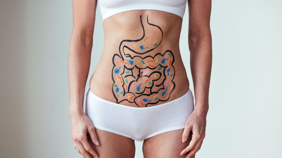 Illustration of the digestive system, including the stomach, intestines, and gut bacteria, drawn on a woman’s abdomen.