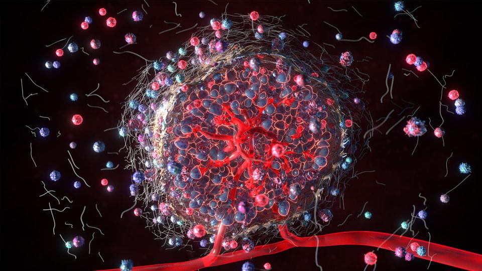 The tumor microenvironment, with structural and cancer cells clustered around a blood vessel.