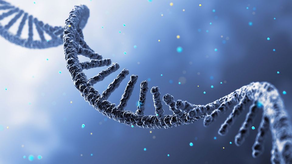 3D illustration of an RNA strand used in genetic research.