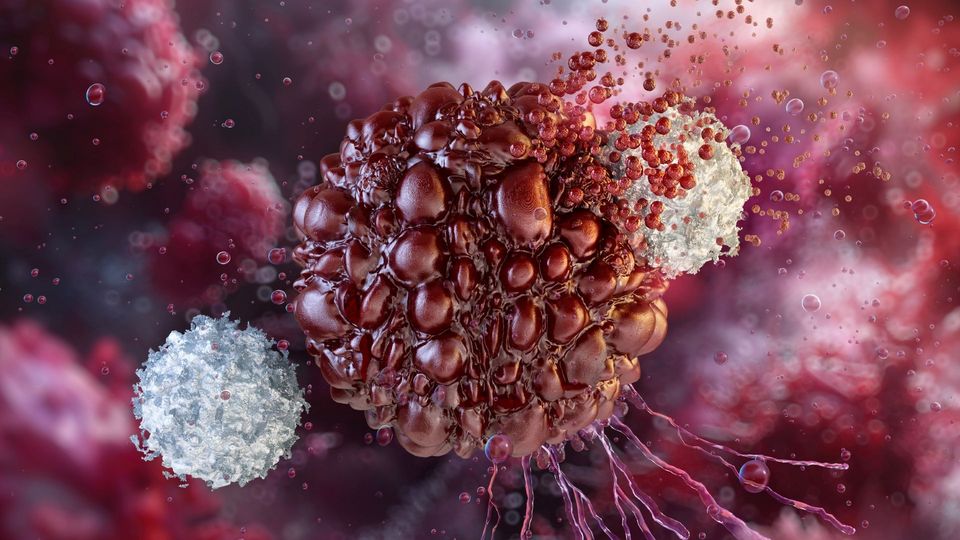 Illustration of cancer immunotherapy with immune cells attacking a tumor cell in the bloodstream.
