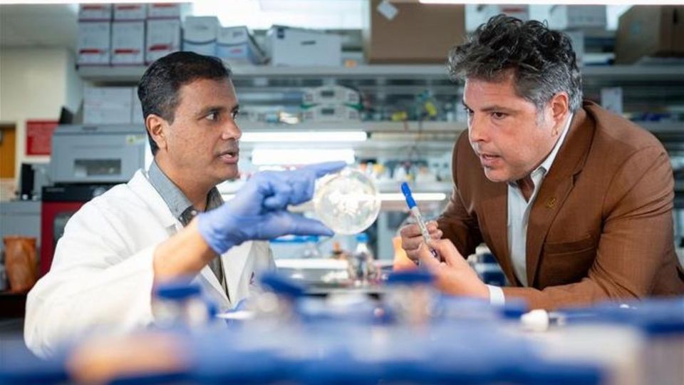 Researchers examining a laboratory sample.