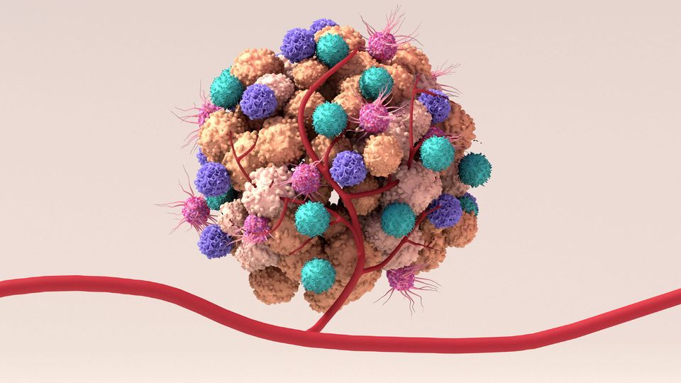 The tumor microenvironment, with structural and cancer cells clustered around a blood vessel.